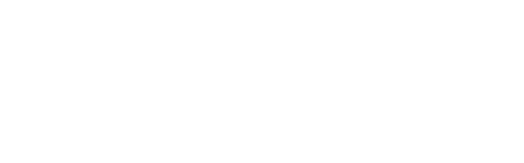 Kibernetik